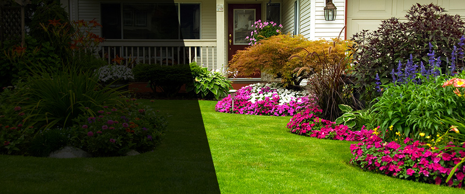 Tonopah Landscapers