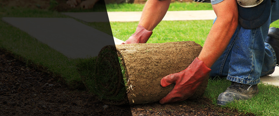 Tonopah Landscapers